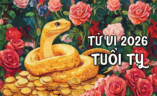 Tử vi tuổi Tỵ 2026: Tử vi tình duyên cho người tuổi Rắn