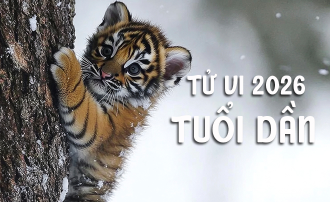 Tử vi tuổi Dần năm 2026: Tử vi tình duyên cho người tuổi Hổ