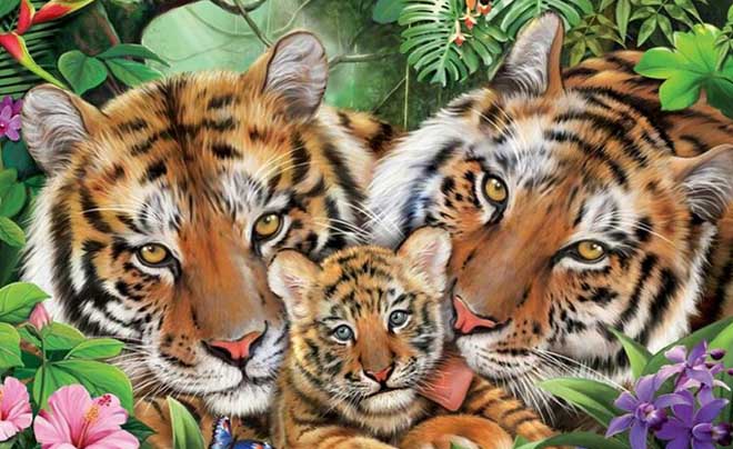 Tử vi tuổi Dần - Tử vi tình duyên cho người tuổi Hổ