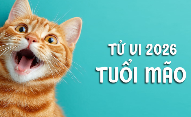 Tử vi tuổi mão 2026: Tử vi tình duyên cho người tuổi Mèo
