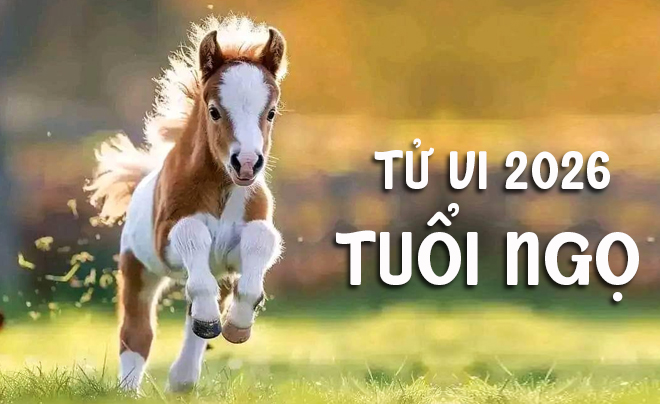 Tử vi tuổi Ngọ 2026: Tử vi tình duyên cho người tuổi Ngựa