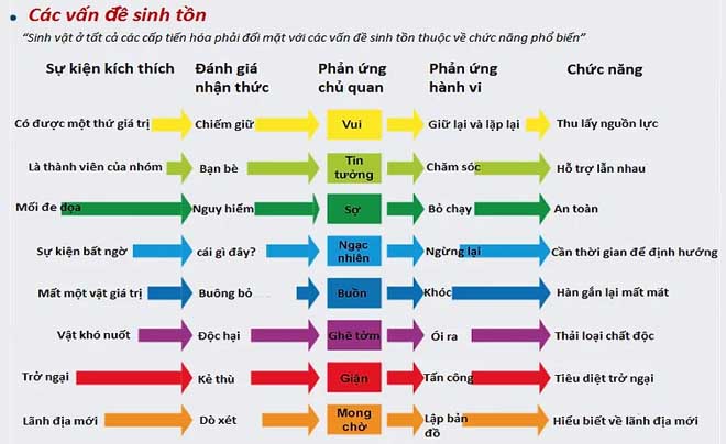 Bánh xe cảm xúc của Robert Plutchik