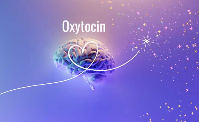 Hormone tình yêu Oxytocin là gì