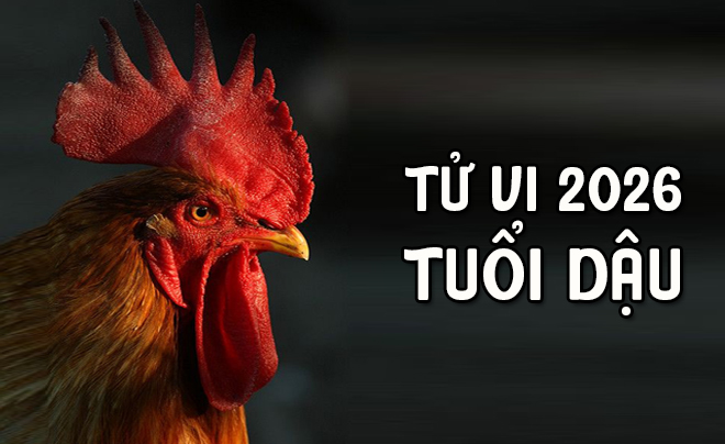 Tử vi tuổi Dậu 2026: Tử vi tình duyên cho người tuổi Gà