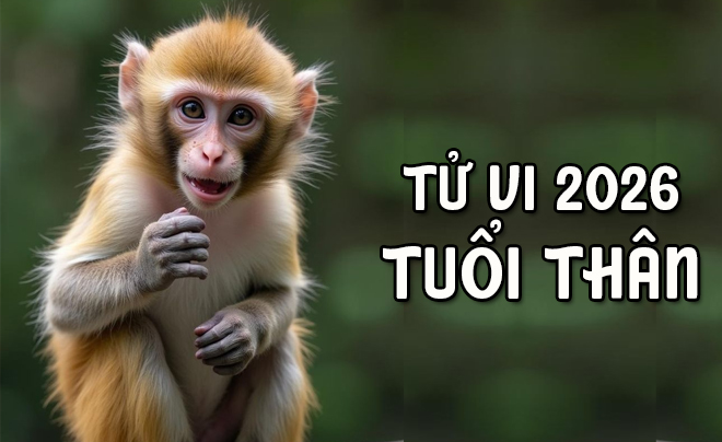 Tử vi tuổi Thân 2026: Tử vi tình duyên cho người tuổi Khỉ