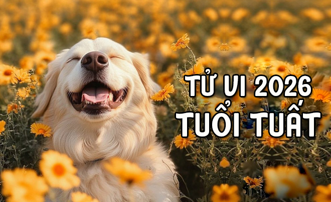 Tử vi tuổi Tuất 2026: Tử vi tình duyên cho người tuổi Chó