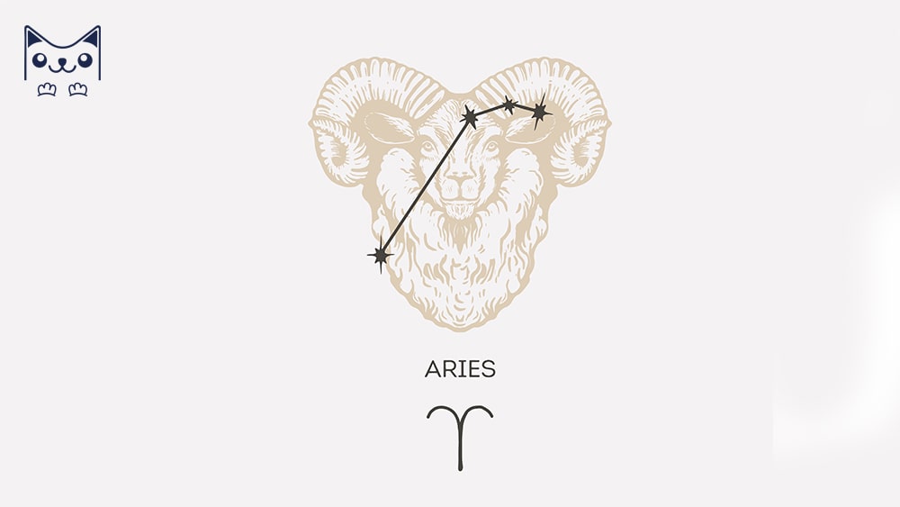 Cung hoàng đạo bạch dương