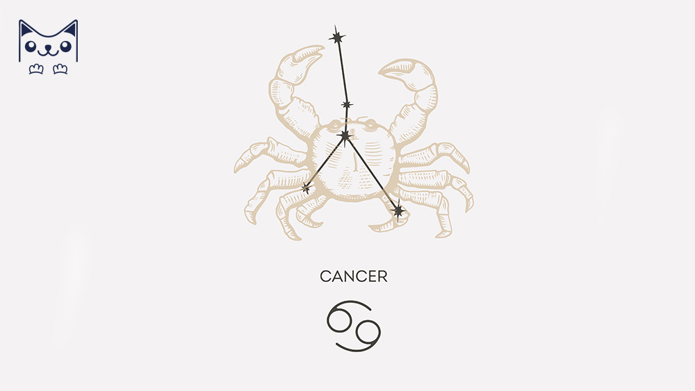 Cung hoàng đạo cự giải là gì