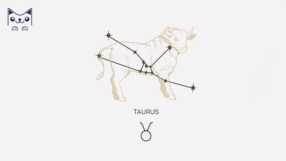 Cung hoàng đạo Kim Ngưu