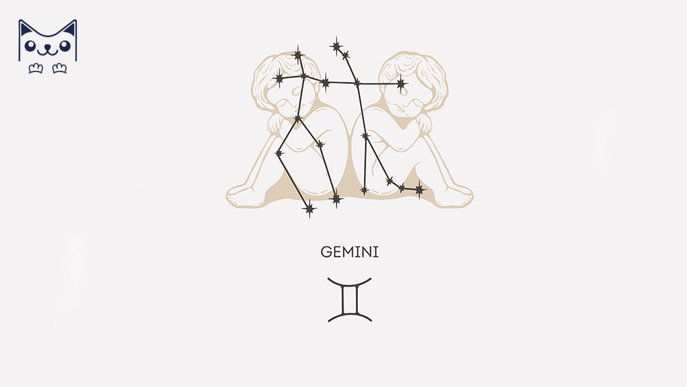 Cung hoàng đạo Song Tử là gì