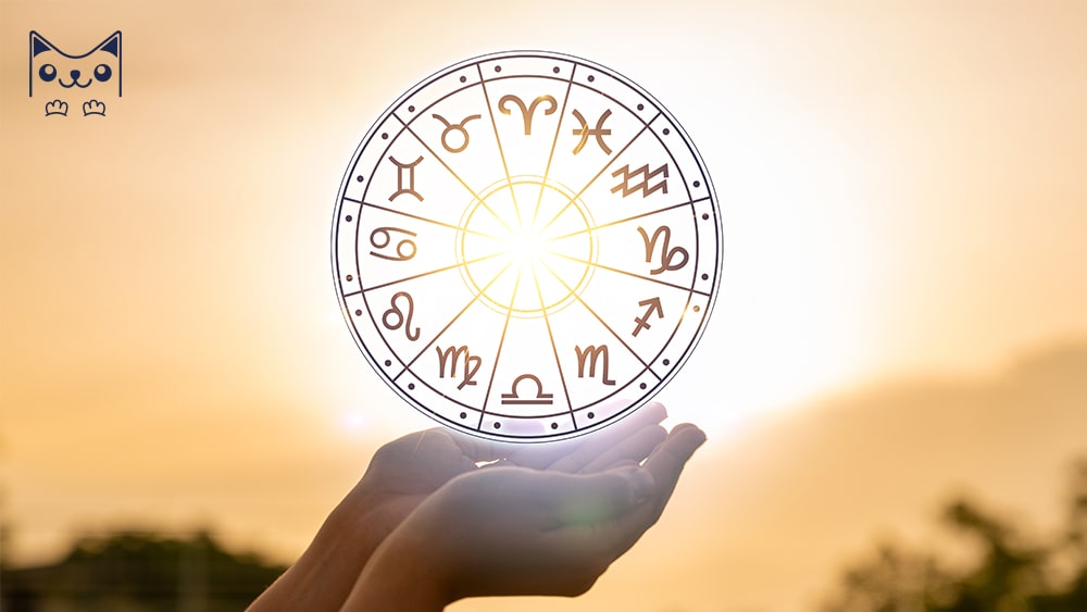 Tử vi 12 cung hoàng đạo cập nhật mới nhất hôm nay