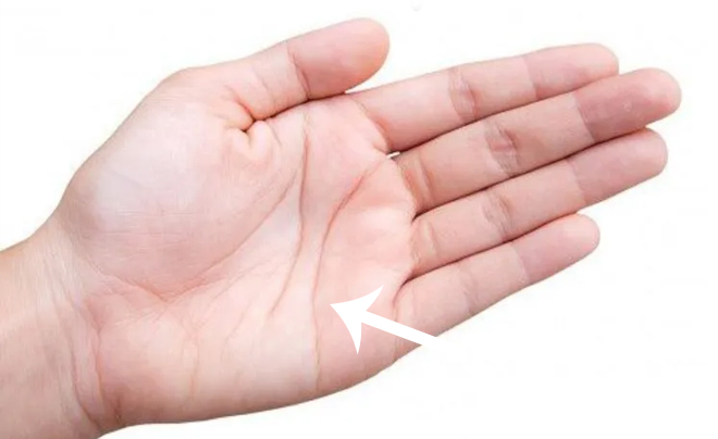 Đường tình duyên trên chỉ tay