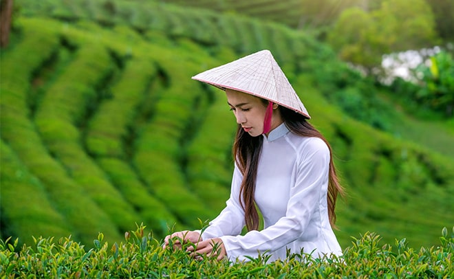 How to Connect and Date Vietnamese Women on the 1Love App
