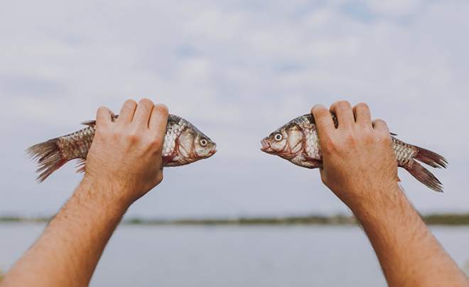 Bắt cá hai tay trong tình yêu là gì