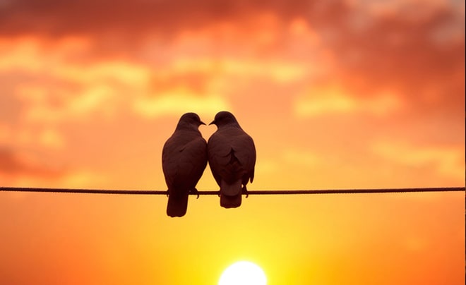 Fall in Love là gì, Badboy có thể Fall in Love được không