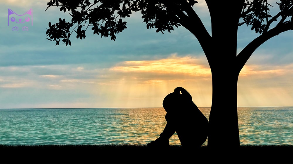 Tại sao nhiều người luôn thất bại trong tình yêu, chuyện tình cảm