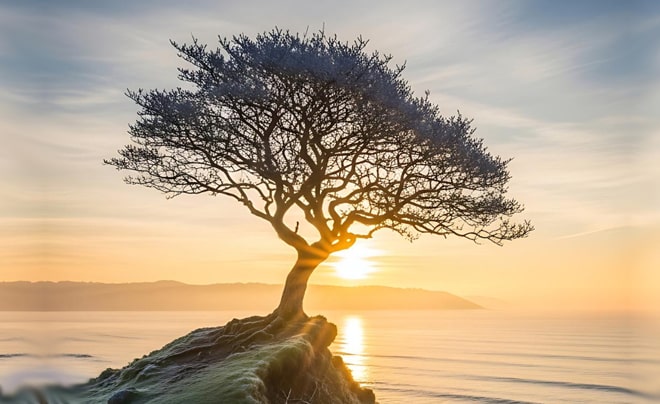 Tại sao nhiều người luôn thất bại trong tình yêu, chuyện tình cảm