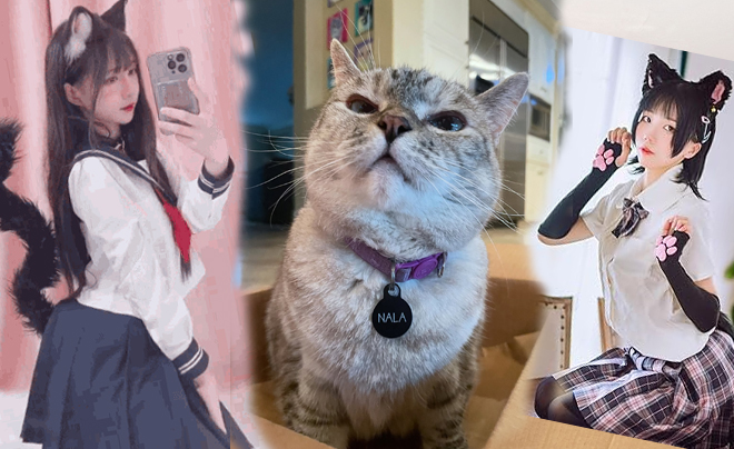 Giải mã từ lóng mới nhất của GenZ: Con mèo kêu sao nhỉ?